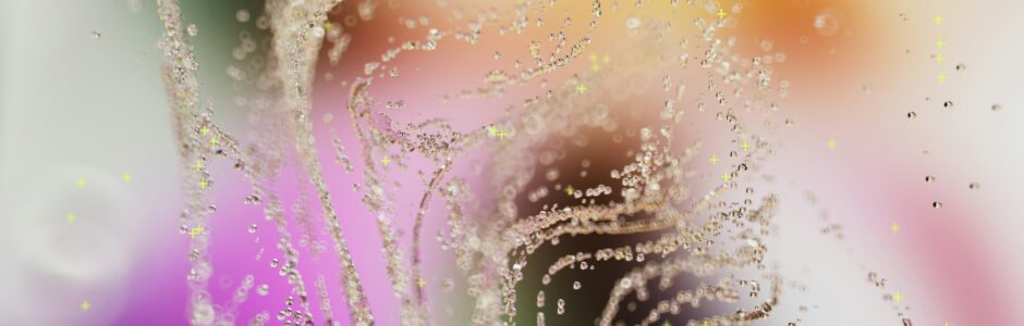 INVESTIGANDO DESDE EL CTS